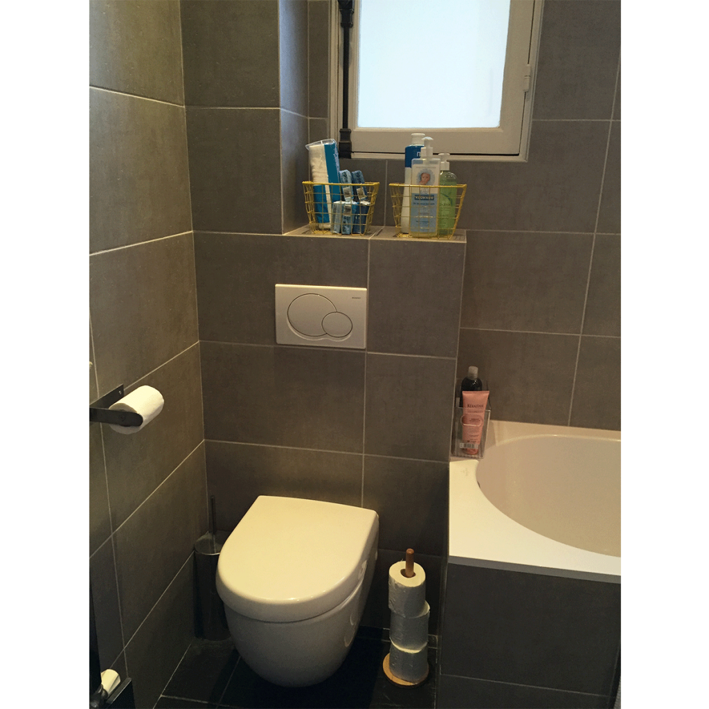 rangement-WC-janvier-2016