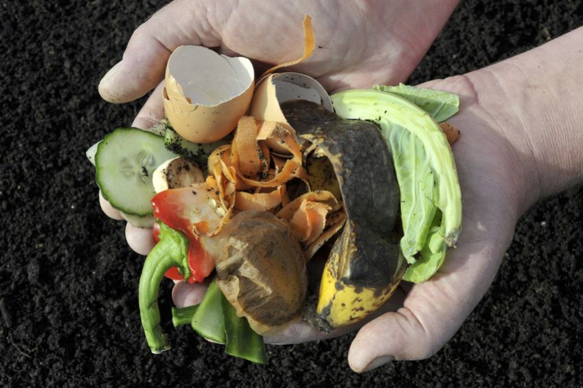 Une bonne recette de compost