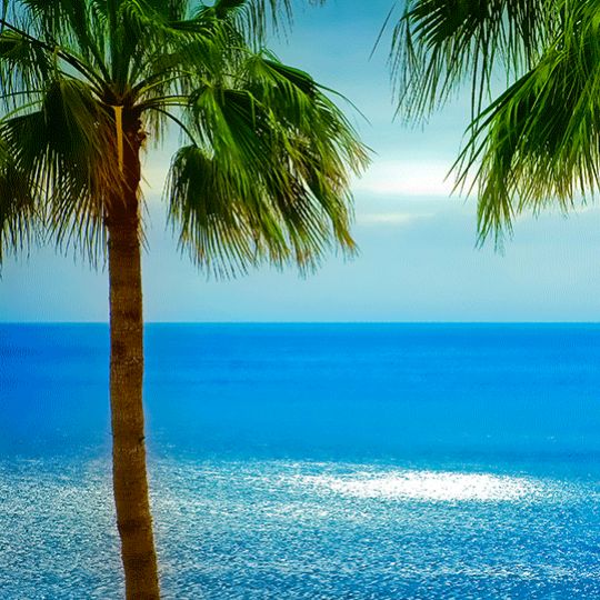 Vive les vacances... Mais avant un peu de rangement !