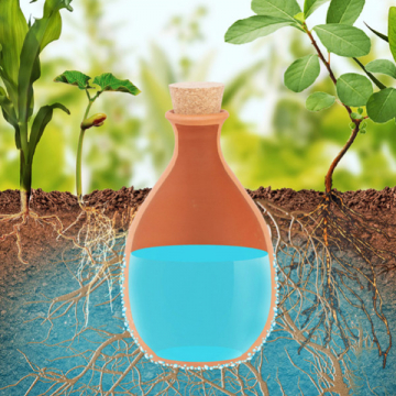 Comment faire des économies d’eau à la maison ?