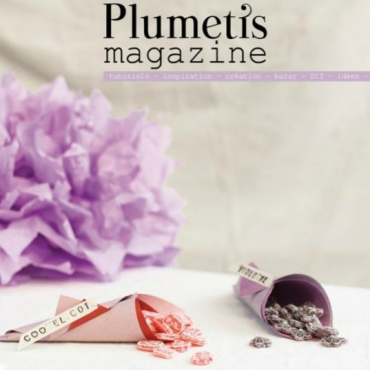 Les bonnes idées d'Aurélie : créatrice de Plumetis Magazine