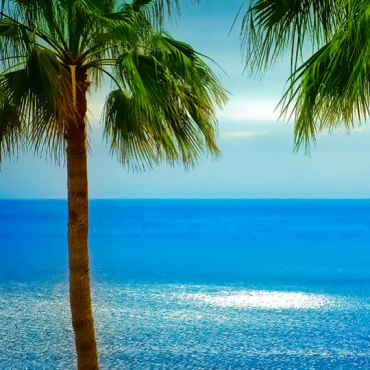 Vive les vacances... Mais avant un peu de rangement !