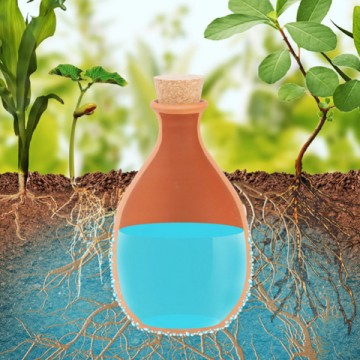 Comment faire des économies d’eau à la maison ?